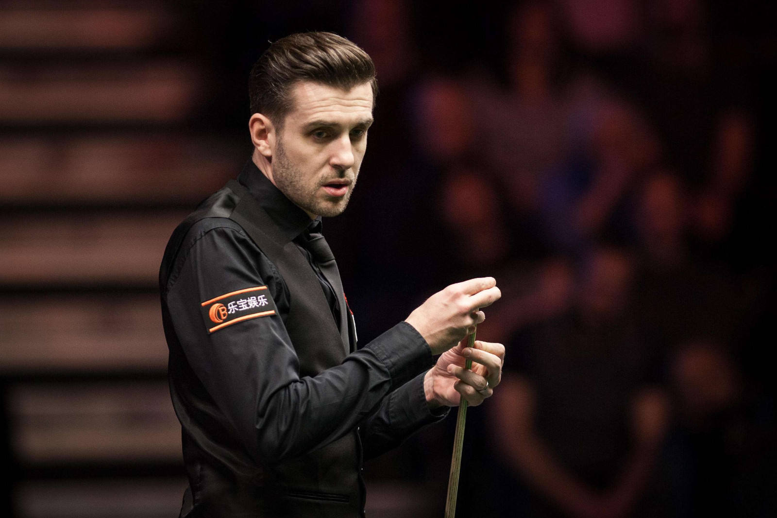 看球的乐趣 看球的乐趣