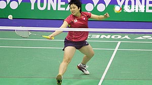 的德甲赛场 的德甲赛场